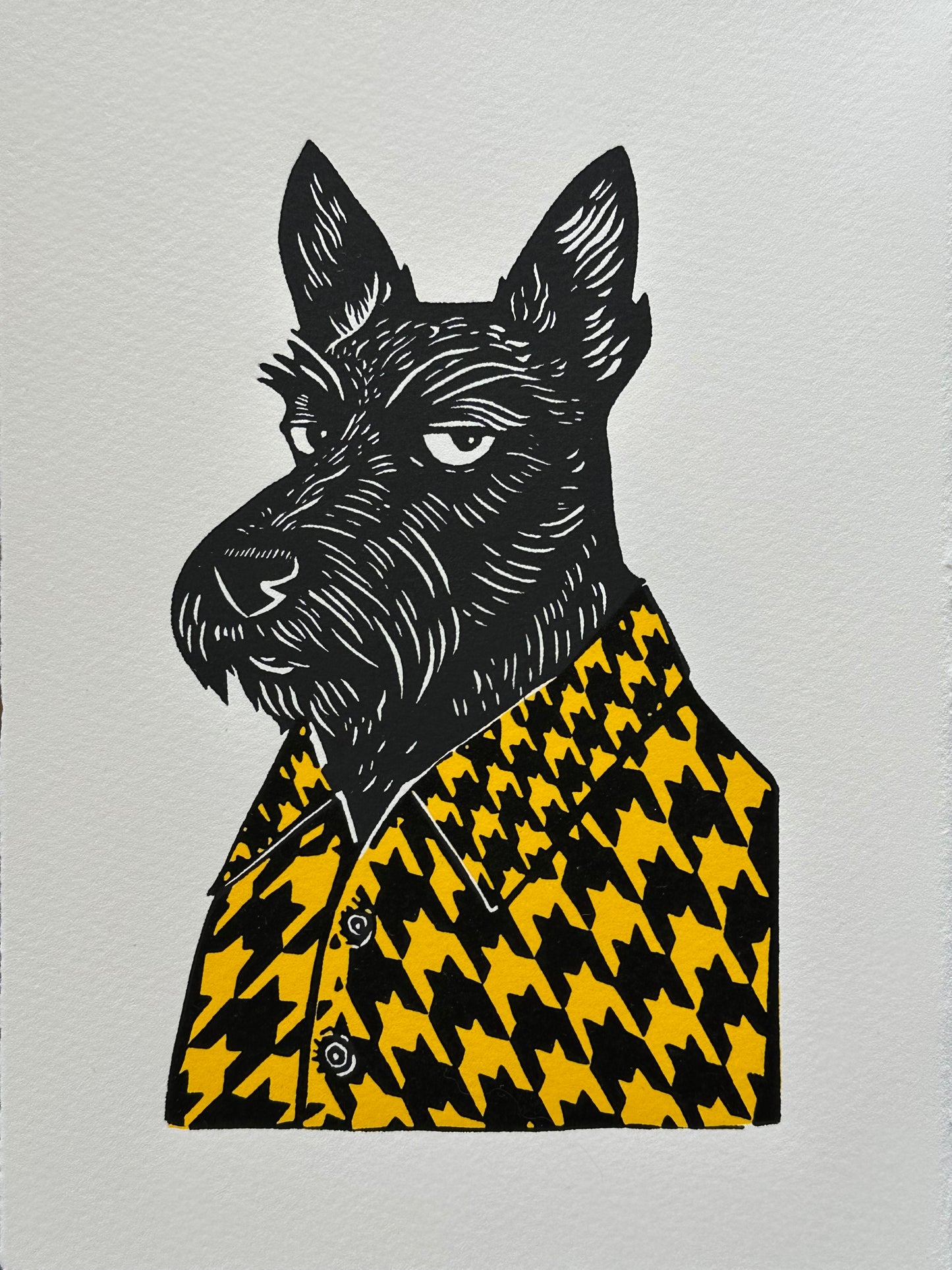 Black and white linocut print of a Scottish terrier wearing a houndstooth-patterned coat in yellow, showcasing bold textures and classic design.