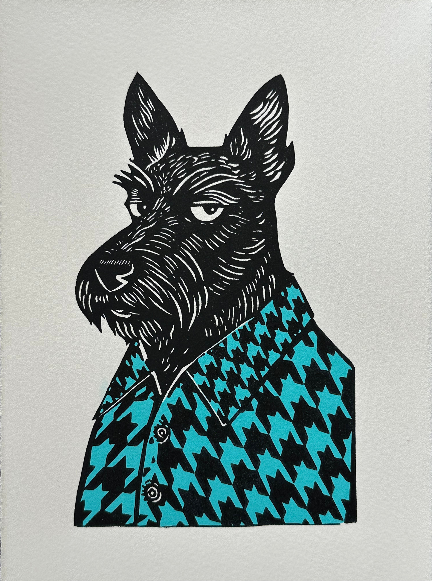 Black and white linocut print of a Scottish terrier wearing a houndstooth-patterned coat in blue, showcasing bold textures and classic design.