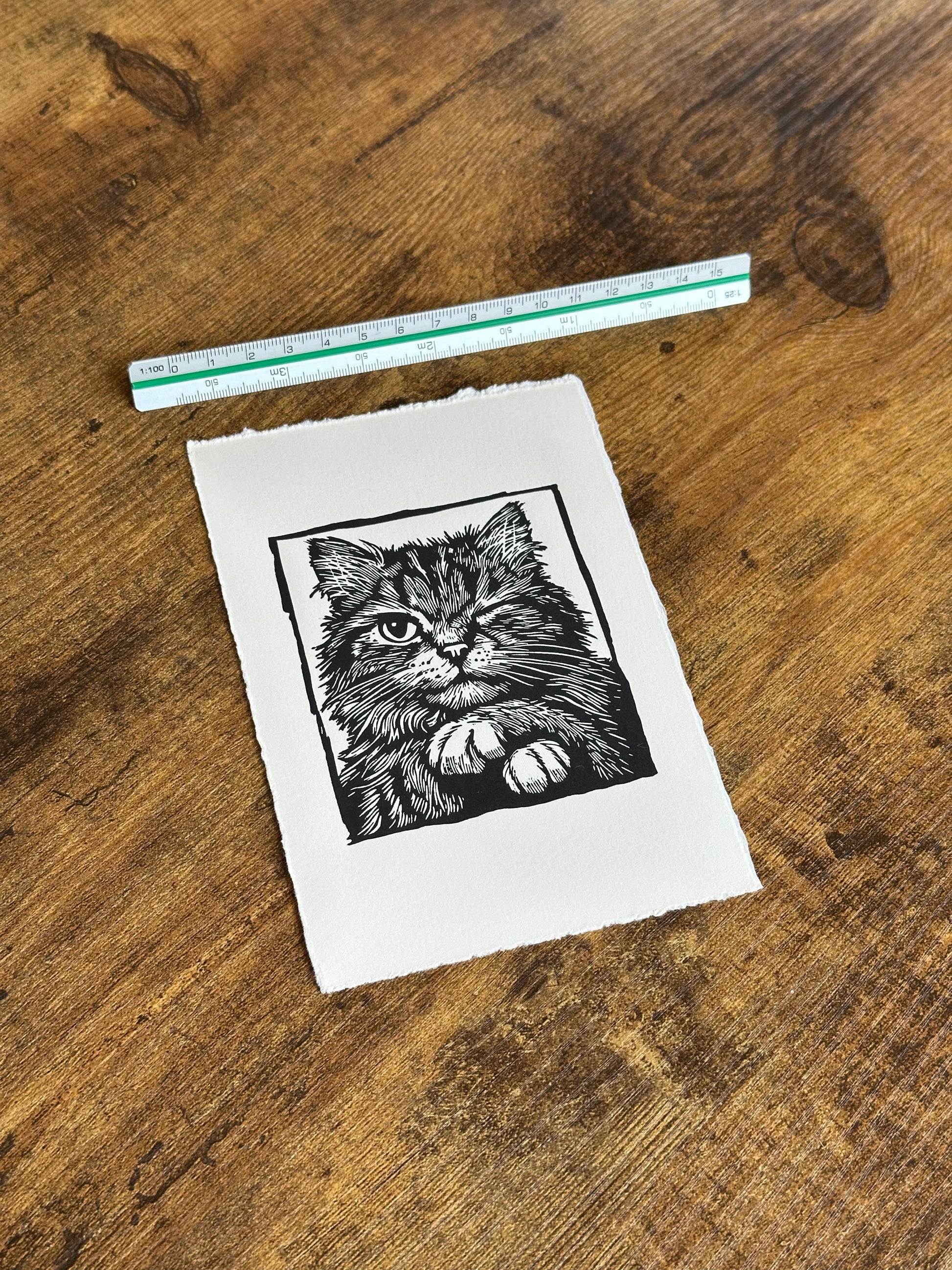 Linocut print of a cat winking on a piece of paper with a ruler for scale on a wooden surface