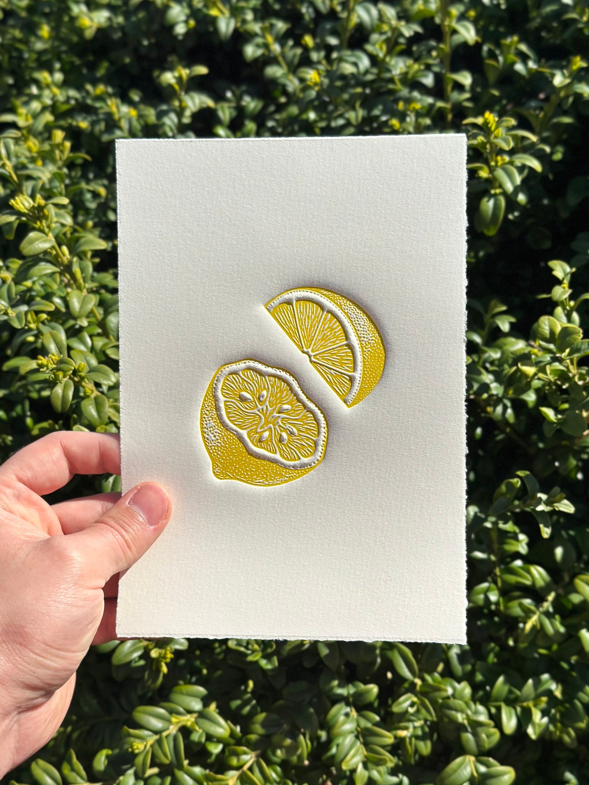 Embossed linocut print of a lemon in vibrant yellow on white paper held against a green leafy background.