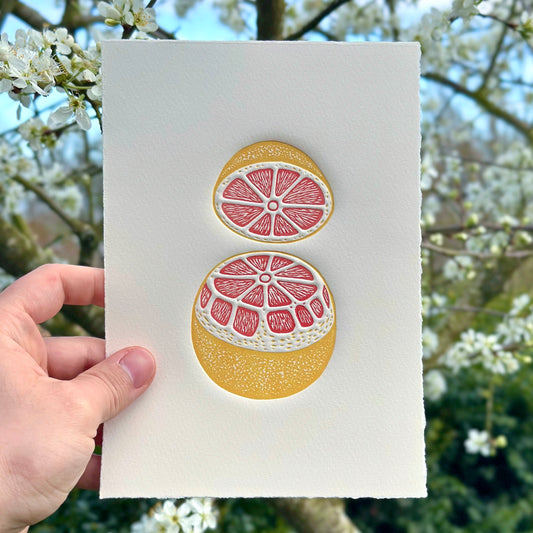 Embossed linocut print of a pink grapefruit in vibrant pink and orange on white paper held against a background of white blossoms. 