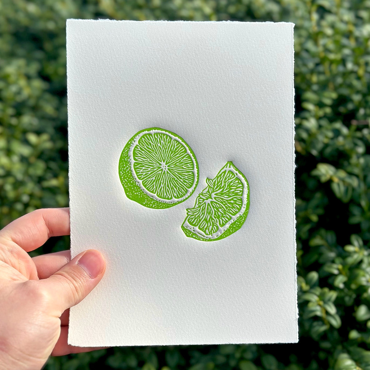 Embossed linocut print of a lime in vibrant green on white paper held against a green leafy background.
