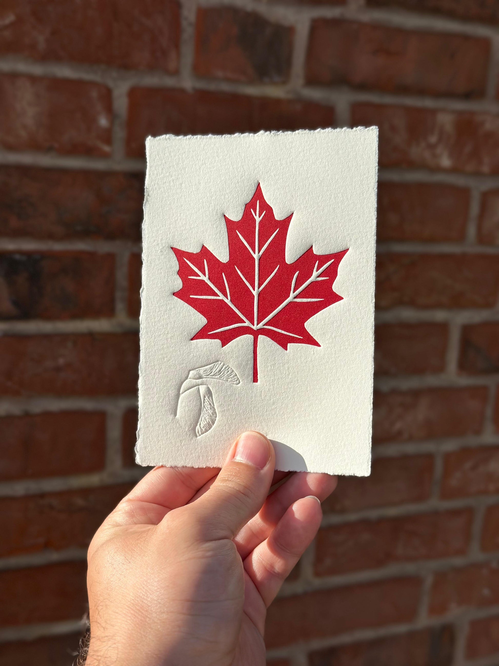 A detailed embossed linocut print of a maple leaf and seedpod. The artwork features a delicate layer of ink highlighting the raised textures created by embossing, emphasizing the intricate veins of the maple leaf and fine details of the seedpod. The natural theme celebrates the beauty of maple tree and associated seed pod with a tactile, handcrafted feel.