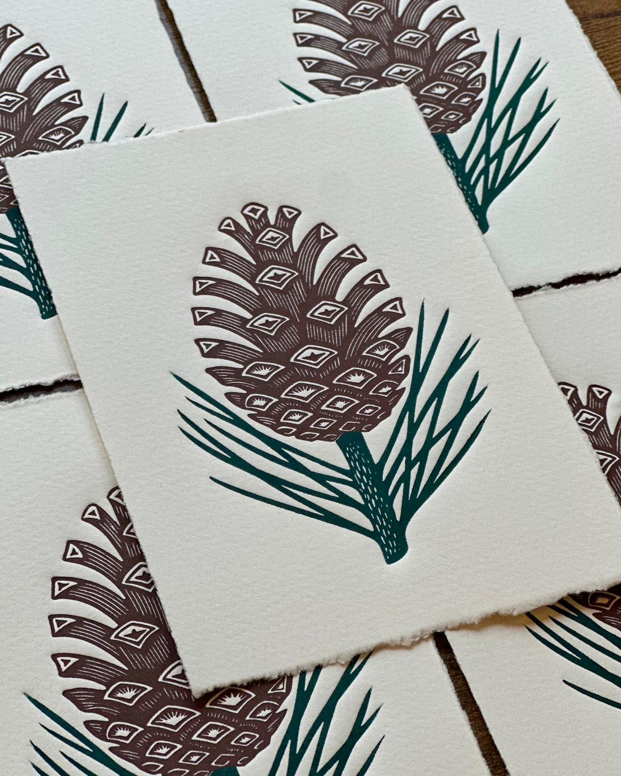 A detailed embossed linocut print featuring a pine cone and pine needles. The artwork uses a subtle layer of ink to highlight the raised textures created by the debossing technique, emphasizing the woody scales of the cone and the fine, pointed needles.