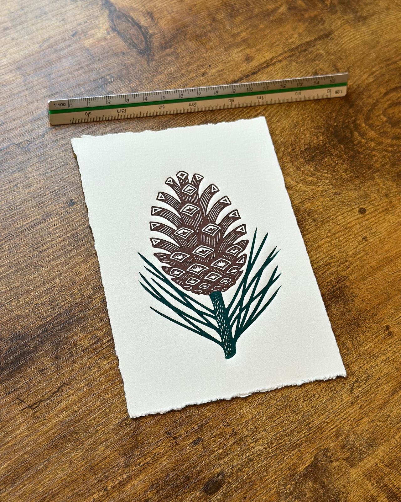 A detailed embossed linocut print featuring a pine cone and pine needles. The artwork uses a subtle layer of ink to highlight the raised textures created by the debossing technique, emphasizing the woody scales of the cone and the fine, pointed needles.