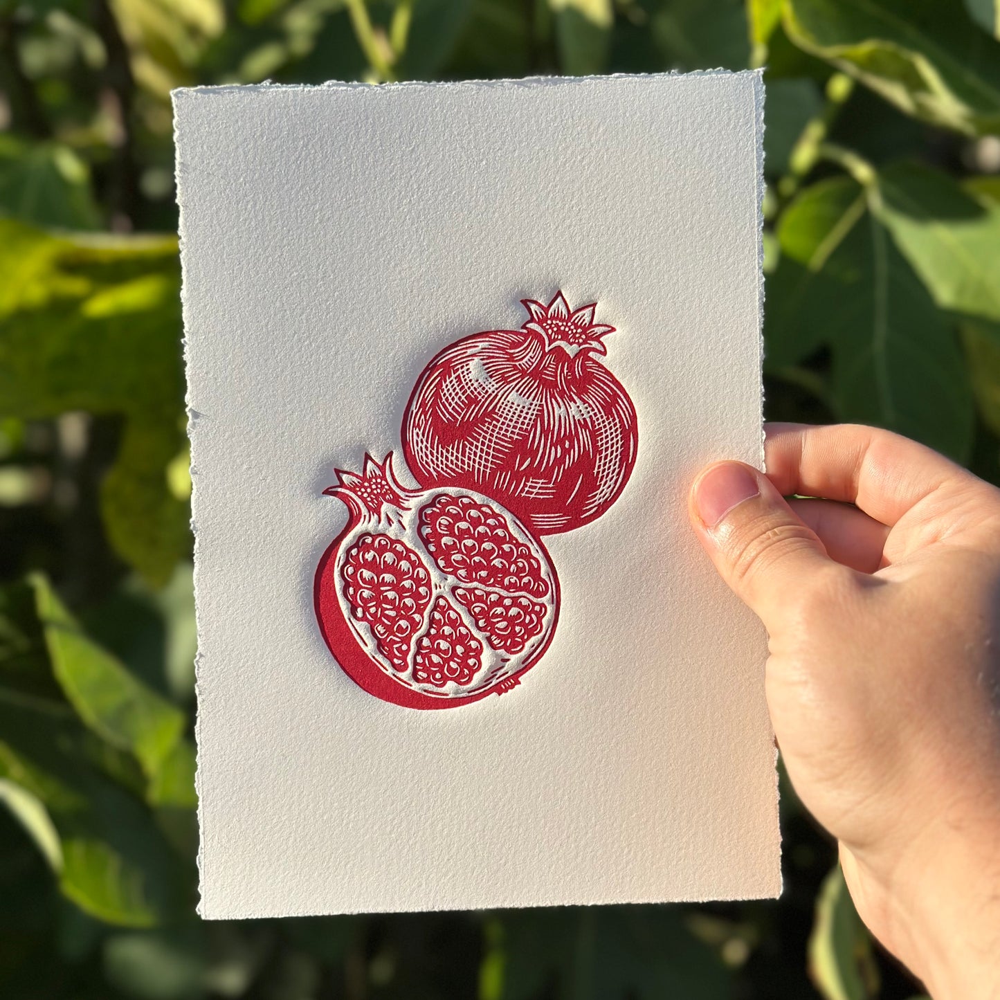 A hand holds linocut print featuring two pomegranates with embossed details, with green foliage in the background.