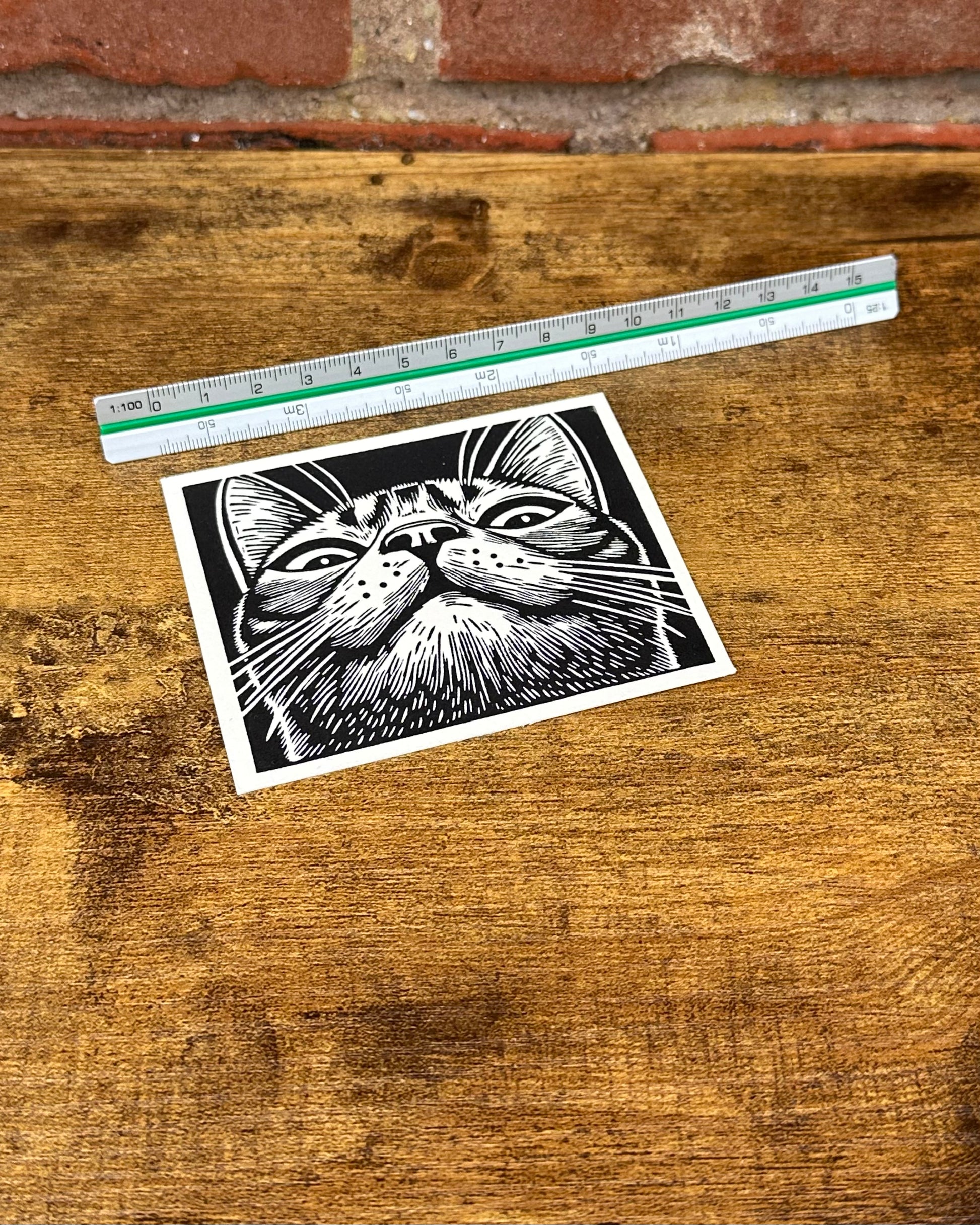Linocut of a cat face with a ruler for scale on a wooden surface