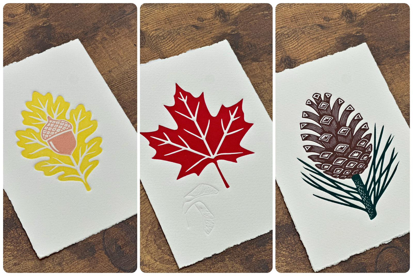Leaf Bundle