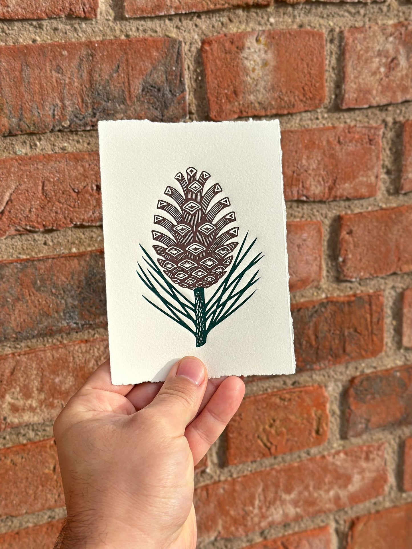A detailed embossed linocut print featuring a pine cone and pine needles. The artwork uses a subtle layer of ink to highlight the raised textures created by the debossing technique, emphasizing the woody scales of the cone and the fine, pointed needles.